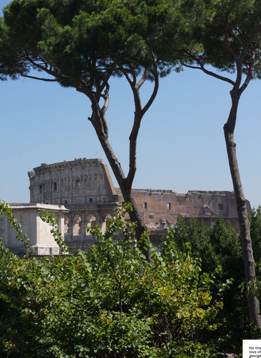 Travels in Italy: Rome; on For the Love of George
